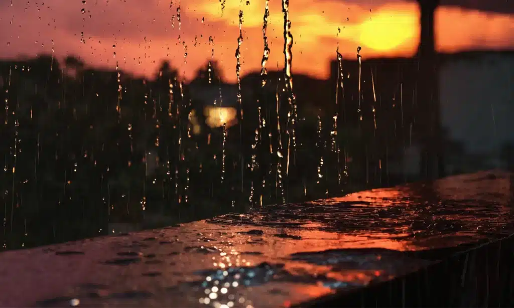 Gobierno de la Ciudad de Mexico impulsa el uso de sistemas de captación de agua de lluvia